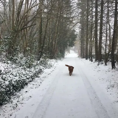 Prázdninový dům Annamult Estate