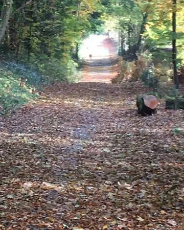 בית נופש Annamult Estate