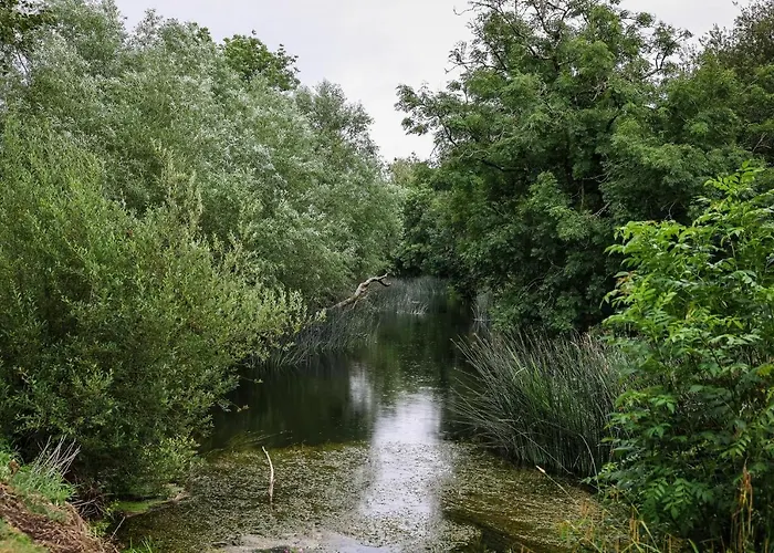 Annamult Estate Κίλκενι