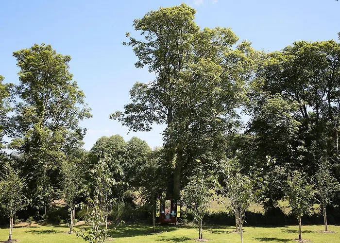 Annamult Estate Σπίτι διακοπών *