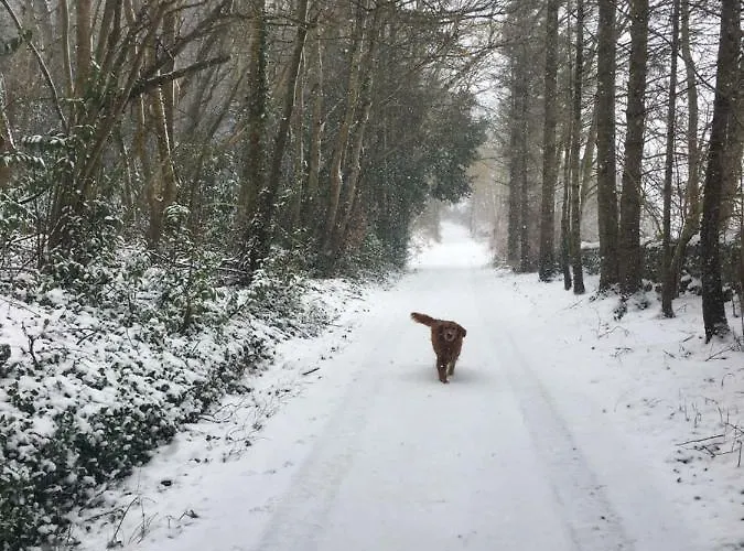 Σπίτι διακοπών Annamult Estate