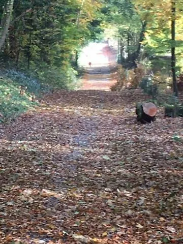 Σπίτι διακοπών Annamult Estate